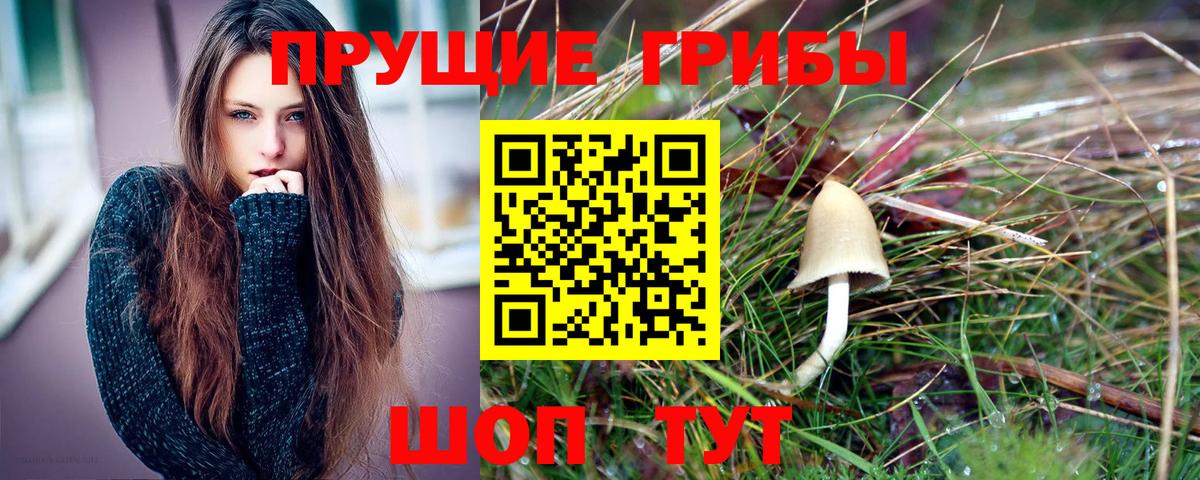 Галлюциногенные грибы мухоморы Кольчугино
